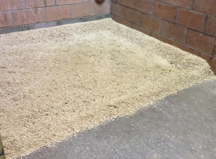 Horse Bedding